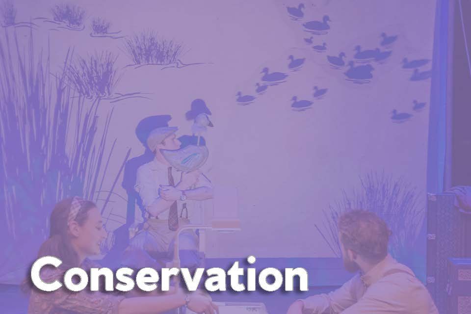 conservation