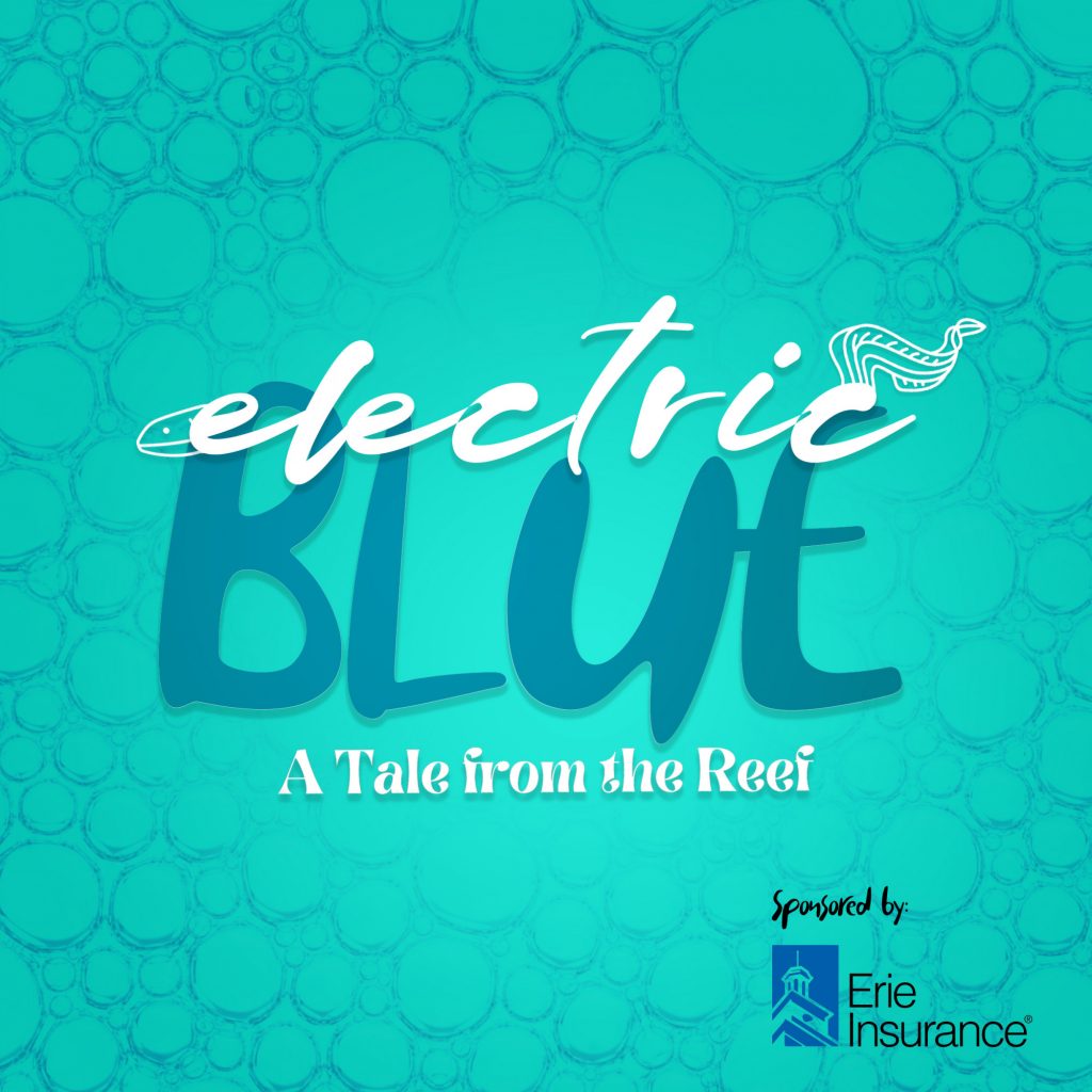 ElectricBlue